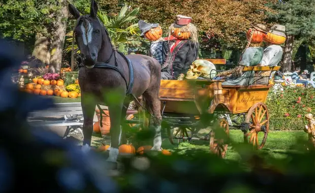 Séjour à la frontière de la Suisse avec entrée à Europa Park à 1h30 du parc (4 pers. max.) - 3* - 26