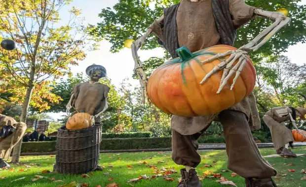 Séjour à la frontière de la Suisse avec entrée à Europa Park à 1h30 du parc (4 pers. max.) - 3* - 24