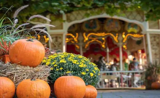 Séjour à la frontière de la Suisse avec entrée à Europa Park à 1h30 du parc (4 pers. max.) - 3* - 22