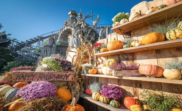 Séjour à la frontière de la Suisse avec entrée à Europa Park à 1h30 du parc (4 pers. max.) - 3* - 23