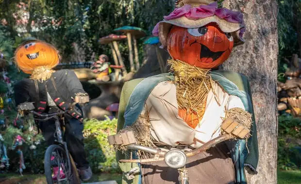 Séjour à la frontière de la Suisse avec entrée à Europa Park à 1h30 du parc (4 pers. max.) - 3* - 21