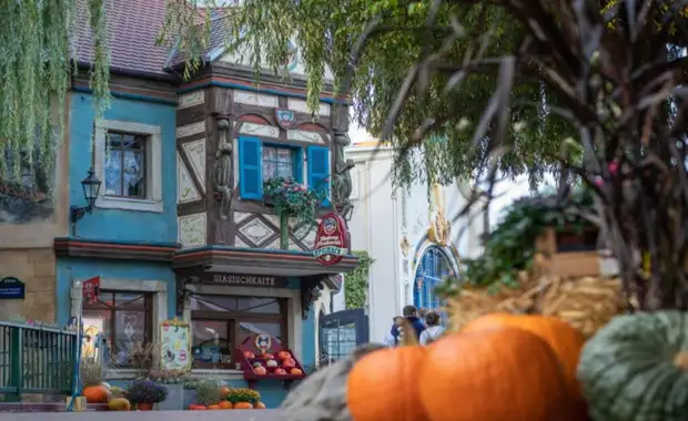 Séjour à la frontière de la Suisse avec entrée à Europa Park à 1h30 du parc (4 pers. max.) - 3* - 18