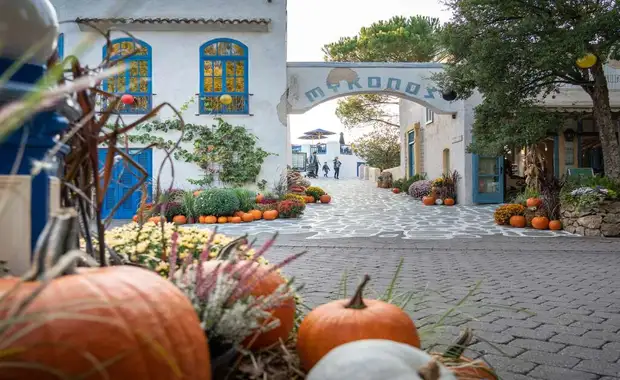 Séjour à la frontière de la Suisse avec entrée à Europa Park à 1h30 du parc (4 pers. max.) - 3* - 45