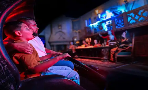 Séjour à la frontière de la Suisse avec entrée à Europa Park à 1h30 du parc (4 pers. max.) - 3* - 43