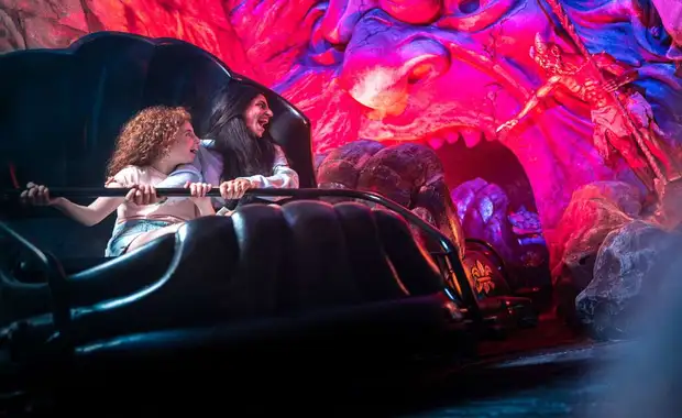 Séjour à la frontière de la Suisse avec entrée à Europa Park à 1h30 du parc (4 pers. max.) - 3* - 44