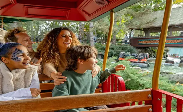 Séjour à la frontière de la Suisse avec entrée à Europa Park à 1h30 du parc (4 pers. max.) - 3* - 40