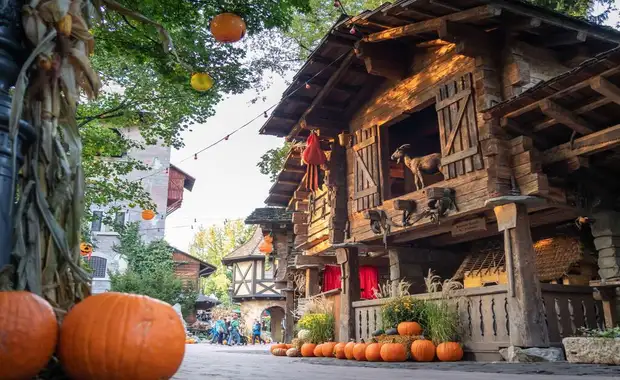 Séjour à la frontière de la Suisse avec entrée à Europa Park à 1h30 du parc (4 pers. max.) - 3* - 39