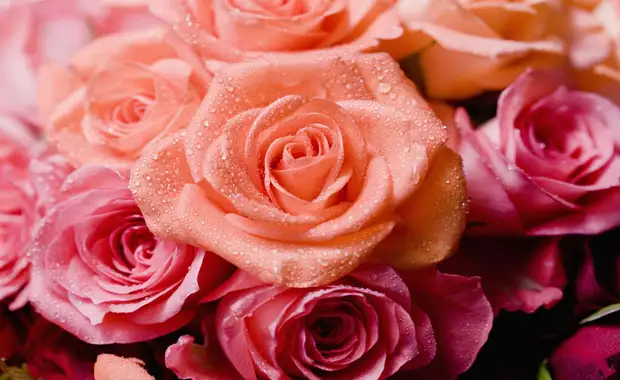 Détente et romantisme avec cava et fleurs à Luxembourg (à partir de 2 nuits) - 3* - 18