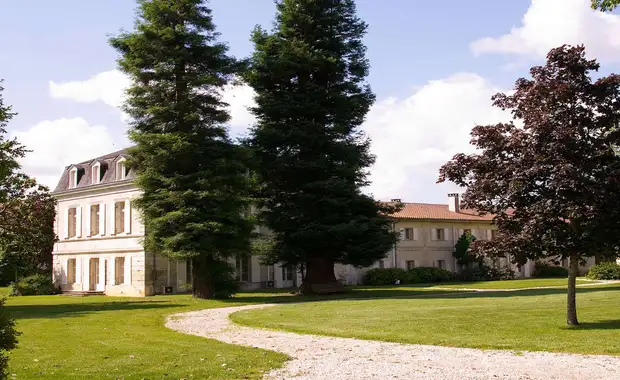 Luxe, nature et spa à moins d'une heure de Bordeaux - 6