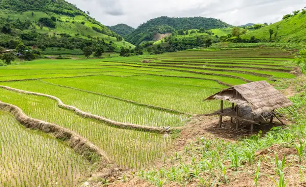 Combiné circuit et hôtel Richesses et traditions de Thaïlande + extension Framissima Kalima Khao Lak - 19