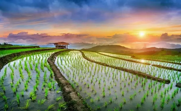 Combiné circuit et hôtel Richesses et traditions de Thaïlande + extension Framissima Kalima Khao Lak - 18
