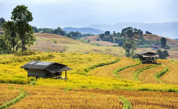 Combiné circuit et hôtel Richesses et traditions de Thaïlande + extension Framissima Kalima Khao Lak - 17
