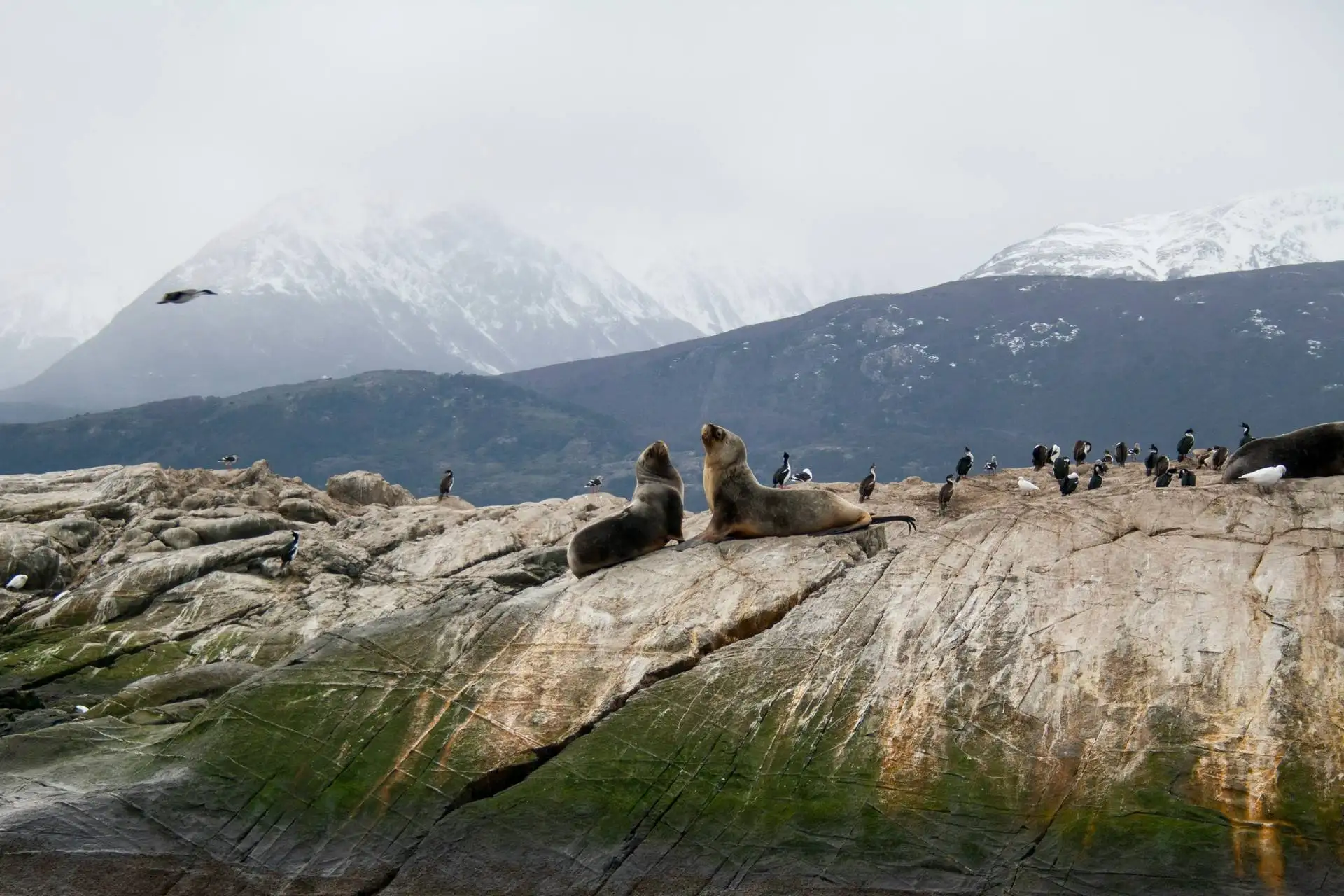 Circuit Le grand tour argentin : des Andes à la Patagonie - 5