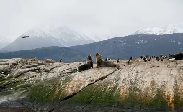 Circuit Le grand tour argentin : des Andes à la Patagonie - 5