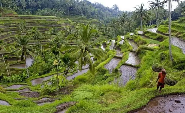Combiné circuit et hôtel Merveilles de Bali & extension Aston Kuta **** - 12