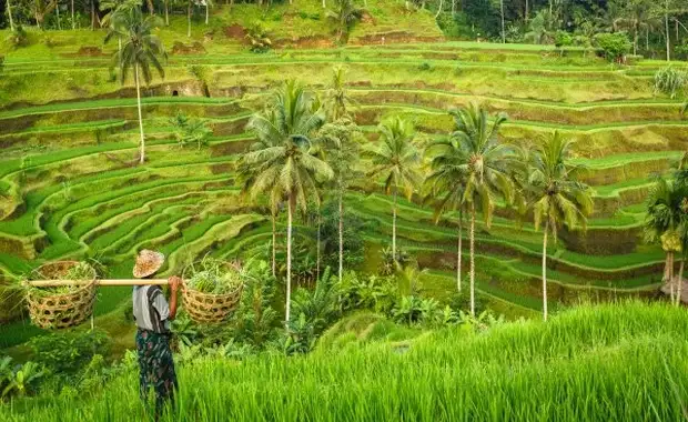 Combiné circuit et hôtel Merveilles de Bali & extension Aston Kuta **** - 2