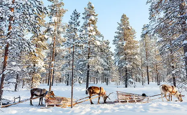 Hôtel Levi Spa (activités incluses) **** - 9