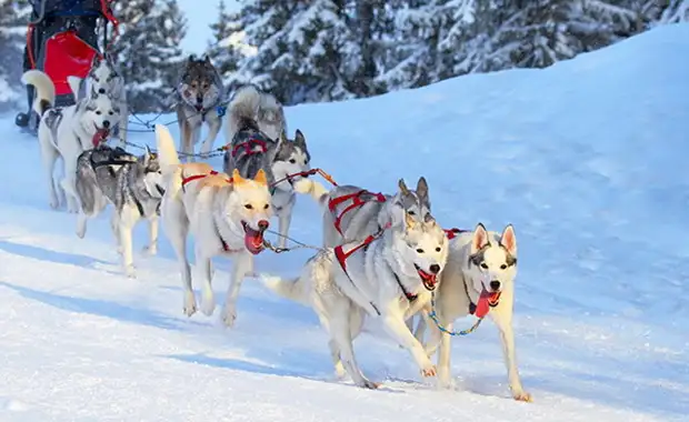 Hôtel Levi Spa (activités incluses) **** - 8