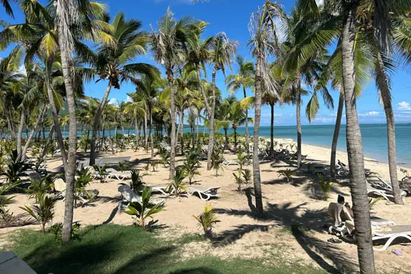 Hôtel Adult Only RIU Palace Mauritius 4* sup - 8