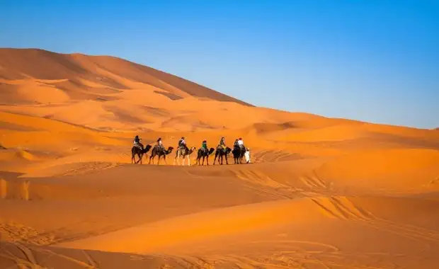 Circuit Voyage en liberté, Marrakech et désert de Zagora - 1