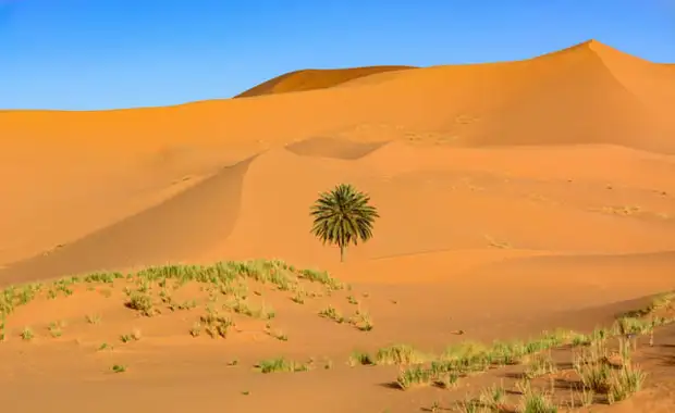 Circuit Voyage en liberté, de Marrakech aux dunes de Merzouga - 6