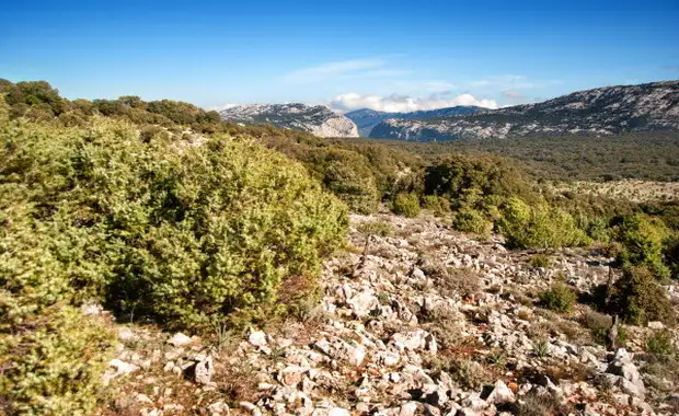 Autotour Douce Sardaigne en liberté - 11