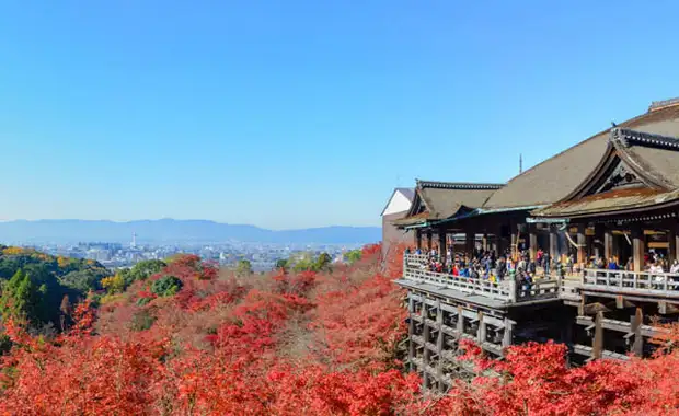 Circuit Traditions et culture du Japon, itinéraire prolongé *** - 13