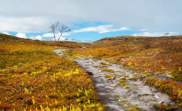 Circuit Grandeurs des 3 Laponies - 10
