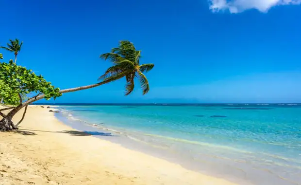 Hôtel Wyndham Alltra Samana **** - 3