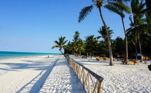 Combiné circuit et hôtel Framissima Paje Palms Beach Resort 4* avec 2 nuits au Parc de Selous **** - 10
