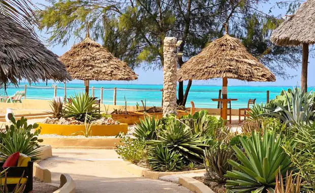 Combiné circuit et hôtel Club Jumbo Reef & Beach Resort 4* avec 2 nuits au parc de Selous **** - 12