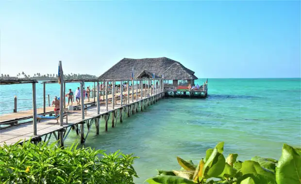 Combiné circuit et hôtel Club Jumbo Reef & Beach Resort 4* avec 2 nuits au parc de Selous **** - 13