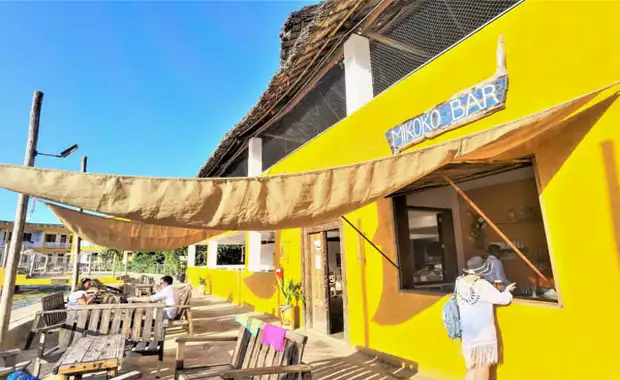 Combiné circuit et hôtel Club Jumbo Reef & Beach Resort 4* avec 2 nuits au parc de Selous **** - 28