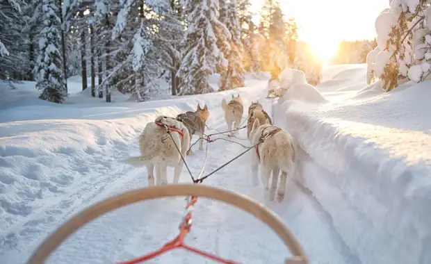 Hôtel Scandic Lulea - Immersion en Laponie Suédoise - 3